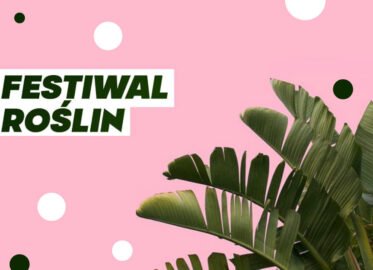 Festiwal Roślin w Katowicach