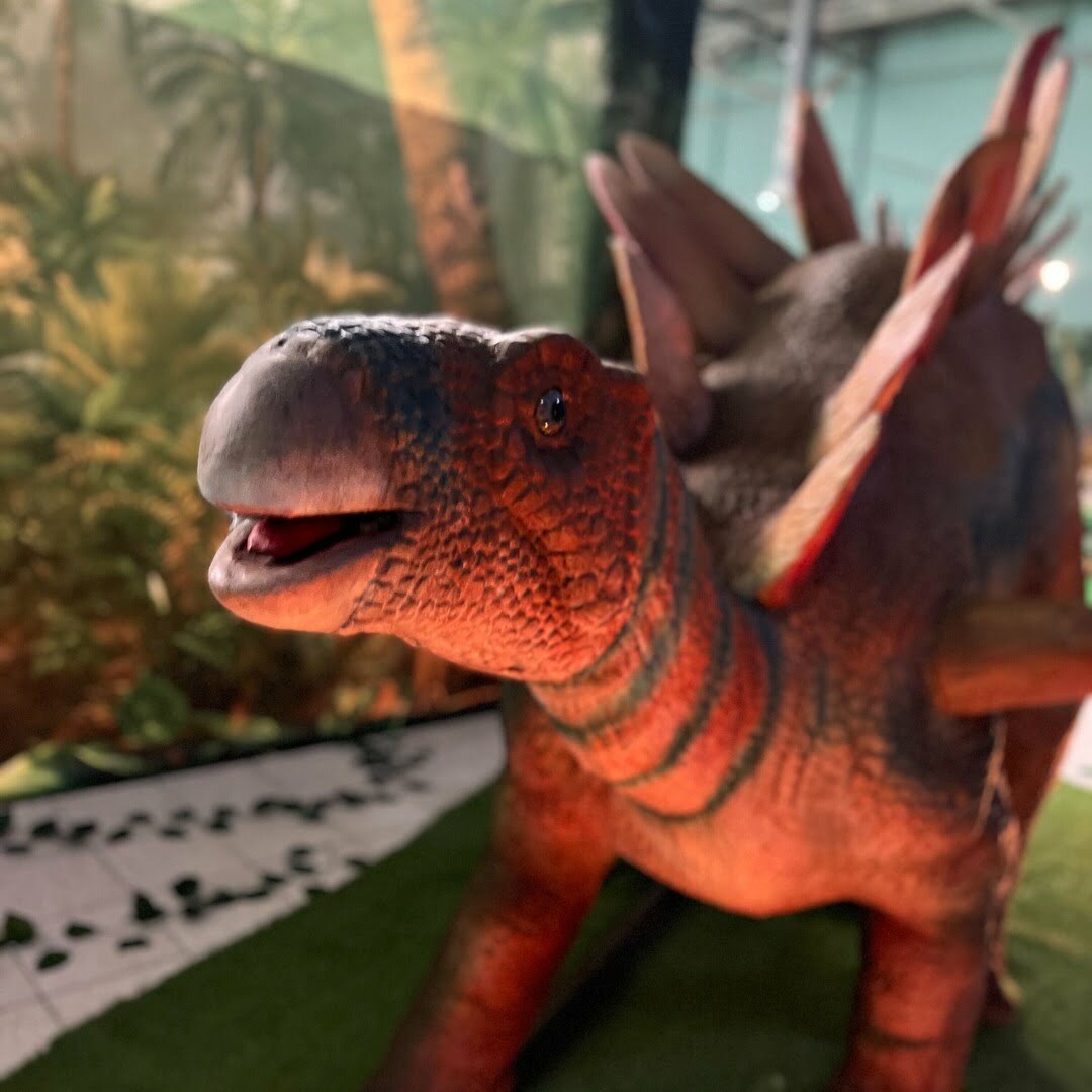 Dinopark-gliwice-1