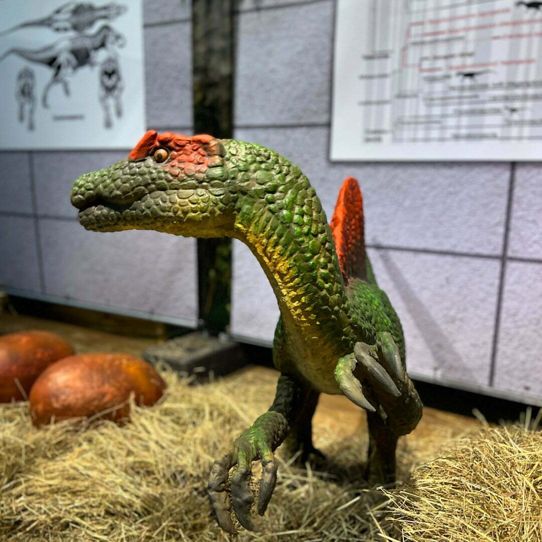 Dinopark-gliwice-2