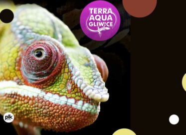 Terra Aqua Gliwice