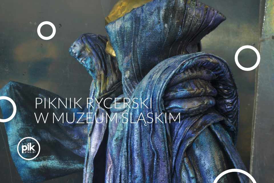 Piknik Rycerski w Muzeum Śląskim