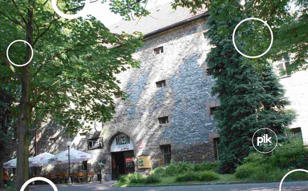 Muzeum Miejskie w Siemianowicach Śląskich